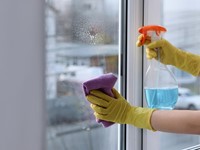 Trucos de limpieza: limpiar y mantener sus ventanas como nuevas