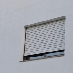 DSC_0315