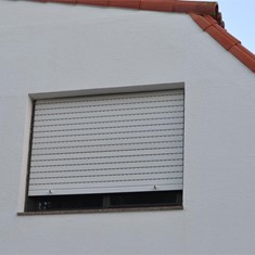 DSC_0316