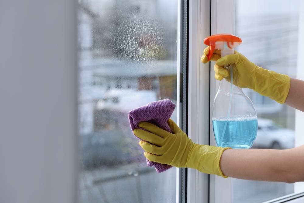 Trucos de limpieza: limpiar y mantener sus ventanas como nuevas